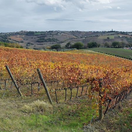 Agriturismo Al Rifugio Divino Belvedere Ostrense Ngoại thất bức ảnh