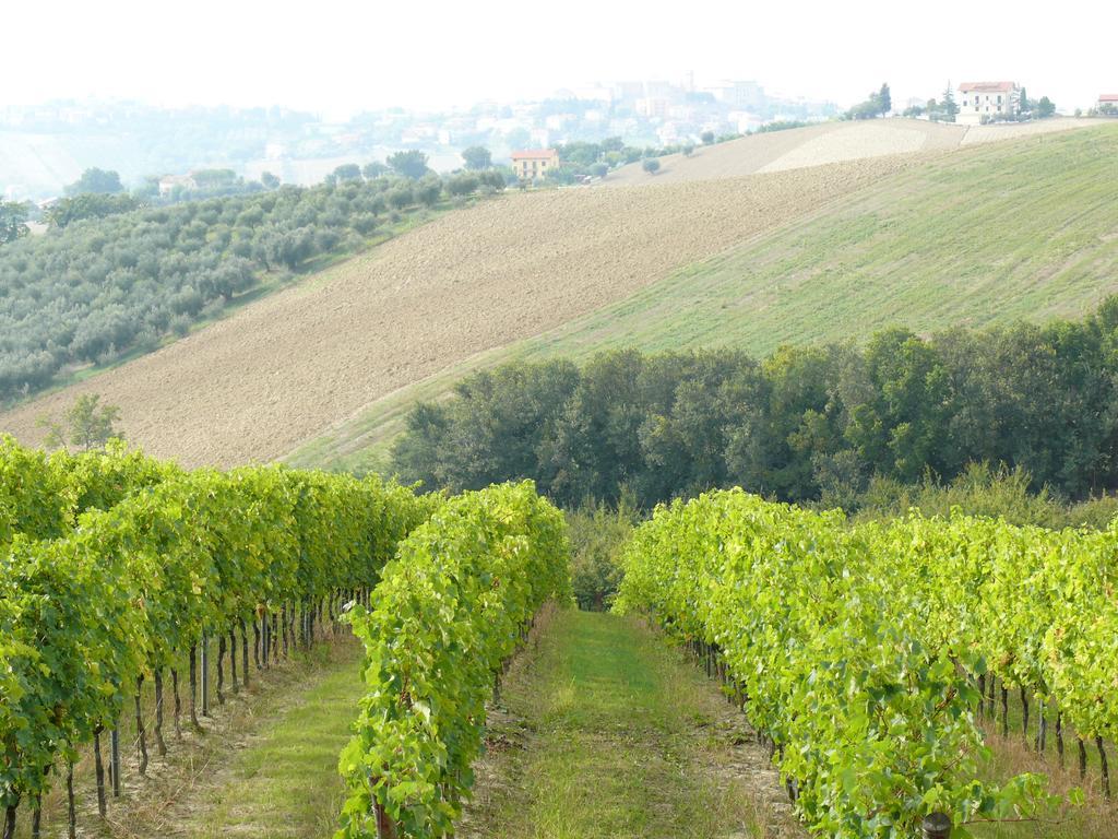 Agriturismo Al Rifugio Divino Belvedere Ostrense Ngoại thất bức ảnh