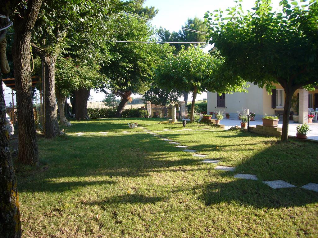 Agriturismo Al Rifugio Divino Belvedere Ostrense Ngoại thất bức ảnh